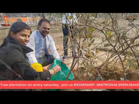 Birthday Tree Plantation || DIYA DELHI