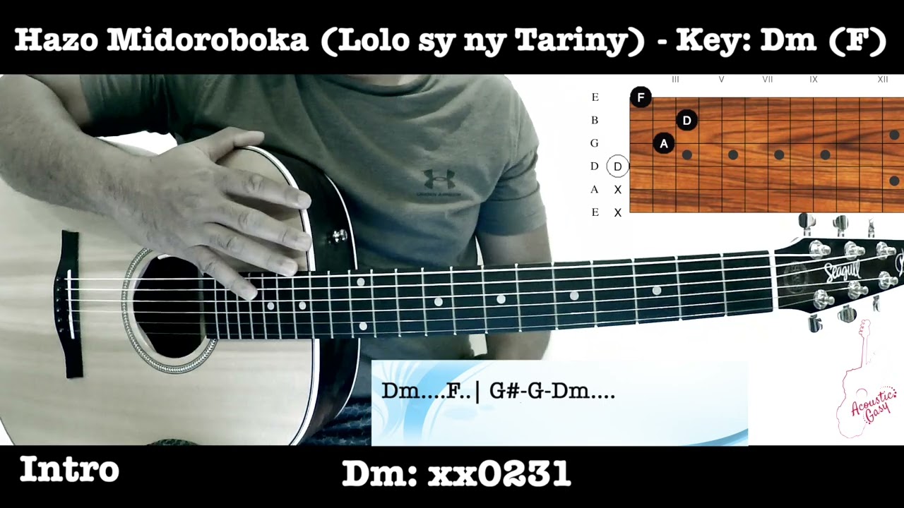 Hazo Midoroboka (Lolo Sy Ny Tariny) - Malagasy Guitar Tutorial