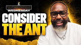 Are You Ready for Your Next Opportunity ? | Consider the Ant | Wisdom Wednesday