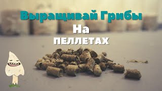 Как Вырастить грибы на соломенных пеллетах?