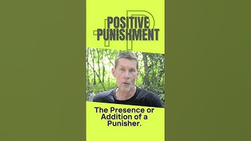 Positive Punishment? #dogtraining #Dogs #positivereinforcementdogtraining