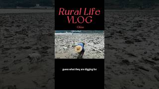 What are they digging for #chinalife #chinatravel #realchina #explorechina #chinarural #chinavlog