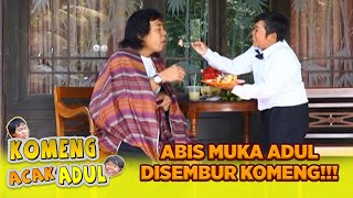 APES BANGET🤣🤣 UDAH BAE DISUAPIN😁 KOMENG MALAH NYEMBUR ADUL😂😂 | KOMENG ACAK ADUL
