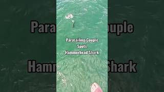 Now thats something you dont see everyday! 😳🦈 #SharkWeek #HammerheadShark #Ocean #parasailing
