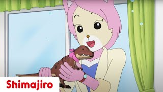 A Special Present for Mum! 💕🎁 | Family | Mom | Kids videos for kids | Shimajiro
