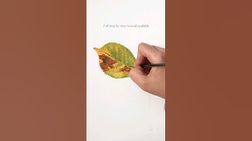 how to #paint a #Chestnut #leaf with #watercolor
