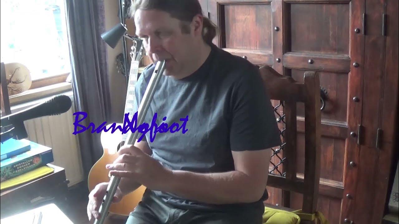 Nori Brandyfoot low whistle D , tin whistle D and C YouTube