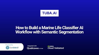 How to Build a Marine Life Classifier AI Workflow with Semantic Segmentation