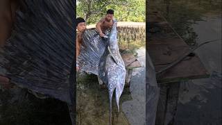 Fishermen Slicing a 50Kg Sailfish or Malasugi Kinilaw! 🌶🤤