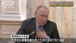 「だまされた」プーチン大統領　「穀物輸出合意」の離脱検討(2023年6月14日)