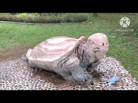 Galing tayo sa loob ng Reptile House at sa ibang bahagi ng park tuen mun eps3.