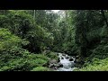 Relaxing Piano Music with Flowing River Sounds 🌊 Deep Sleep, Stress Relief & Calm Mind (8 Hours)