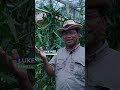 𝗘𝗰𝗼𝘀𝘆𝘀𝘁𝗲𝗺 𝗦𝗽𝗼𝘁𝗹𝗶𝗴𝗵𝘁: 𝗩𝗮𝗻𝗶𝗹𝗹𝗮 𝗜𝗺𝗽𝗮𝗰𝘁 𝗦𝘁𝗼𝗿𝘆 🌱