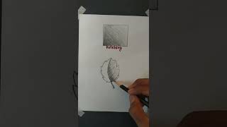 drawing leaf | hatching technique of shading #drawing #hatching #shading #art #shorts