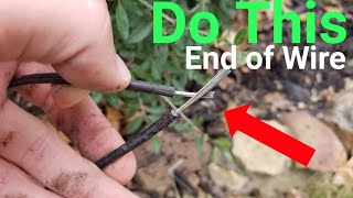 What You Should Do With the End of the Wire | Landscape Lighting | Outdoor Lighting