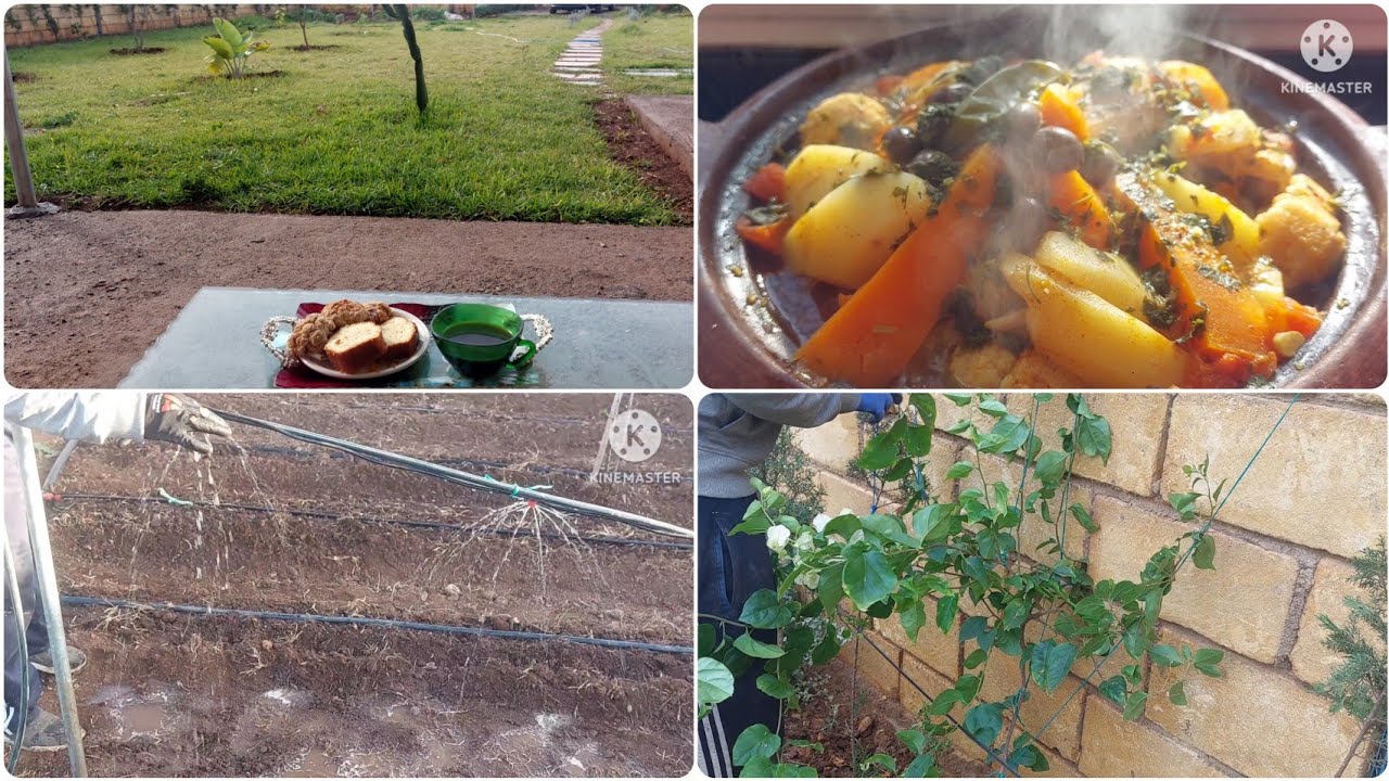 نهار كامل فالجردة:  سقي الزرع، وتحضير طاجين سخون بنكهة مغربية  🌿🍲A Full Day in the Garden 🌿