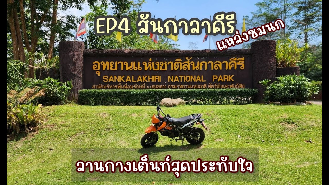 EP4 สันกาลาคีรี I ลานกางเต็นท์ #อุทยานแห่งชาติสันกาลาคีรี #สงขลา