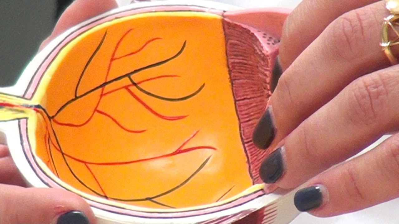 Tv Tera Bitola Besplatni merenja na ocen pritisok vo Sistina