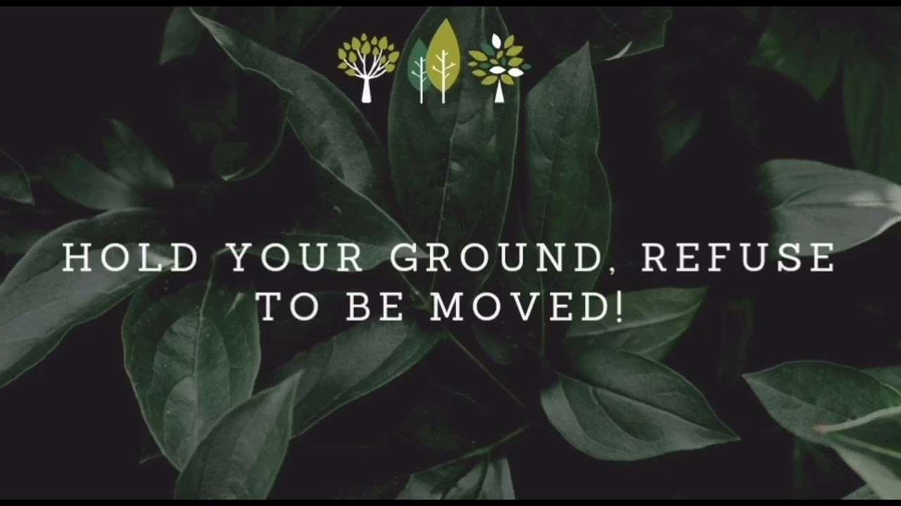 Prophetic Word | DON’T STOP! Keep going, working, believing-STAND | That mocking spirit is defeated!