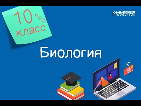 Биология. 10 класс. Факторы и условия, влияющие на активность ферментов /16.11.2020/