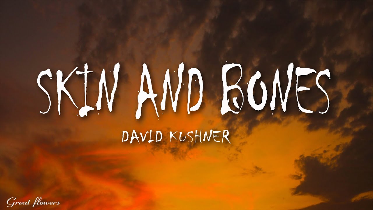 David Kushner Skin and Bones (Lyrics) "wrap me in your skin and bones
