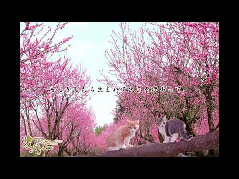 愛音2020年 卯月のお便り