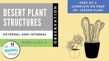 NGSS 4-LS1-1 Plants - Structures of Plants