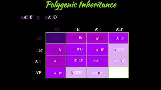 Celebrity Polygenic Inheritance Net Worth