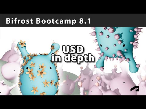 Bifrost Bootcamp 8.1 - A detailed look at USD