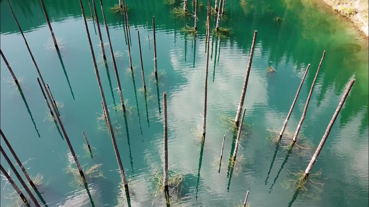 Озеро Каинды Казахстан 4k