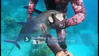 Re-Upload Beautiful spot Mapun Island, Jeff Ramillano Gaga Baiden Orosco #amazing #clearwater