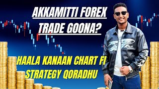 Forex Irra Qarshii Argachuuf Dirqama Stratage Keessan Cimsachuu Qabdu  Elsay Tec