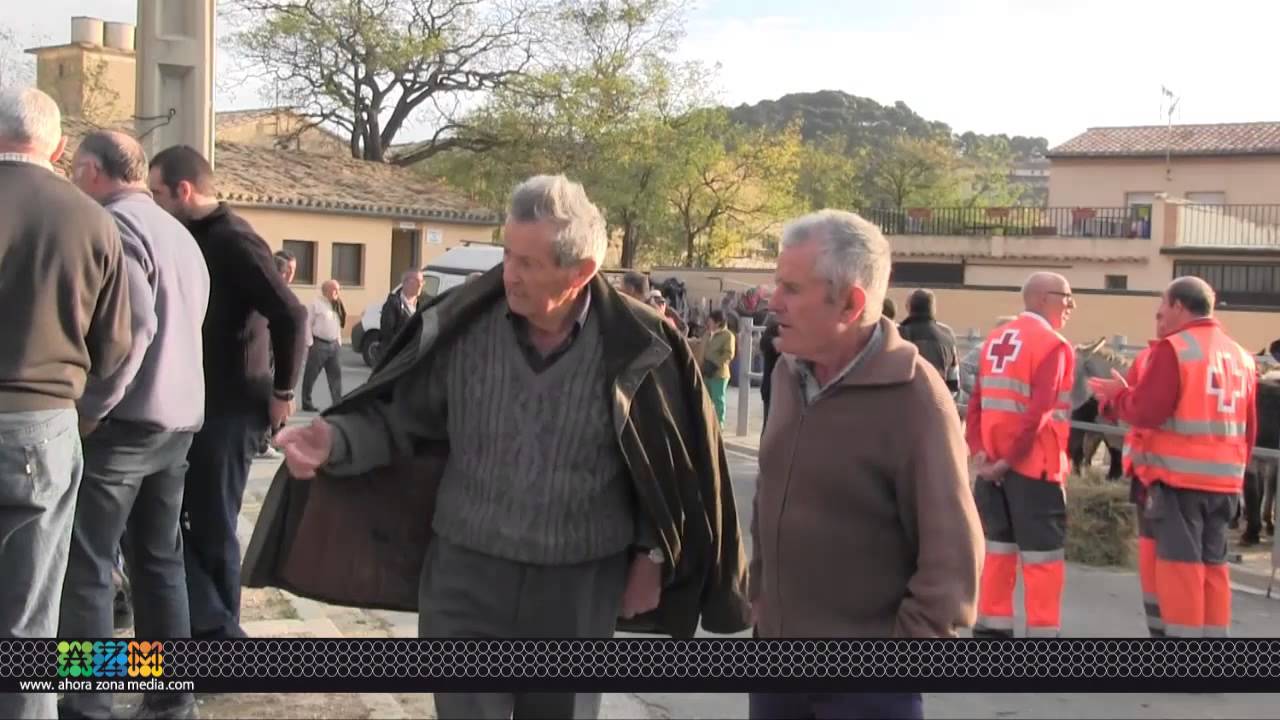 25 10 13 feria caballar tafalla