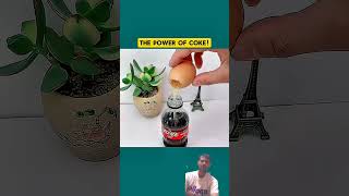 #kokokola#ki#facts #ajjubhaiinmymatch #gtav #diy #automobile #craft #shorts #videos #gazb #tips
