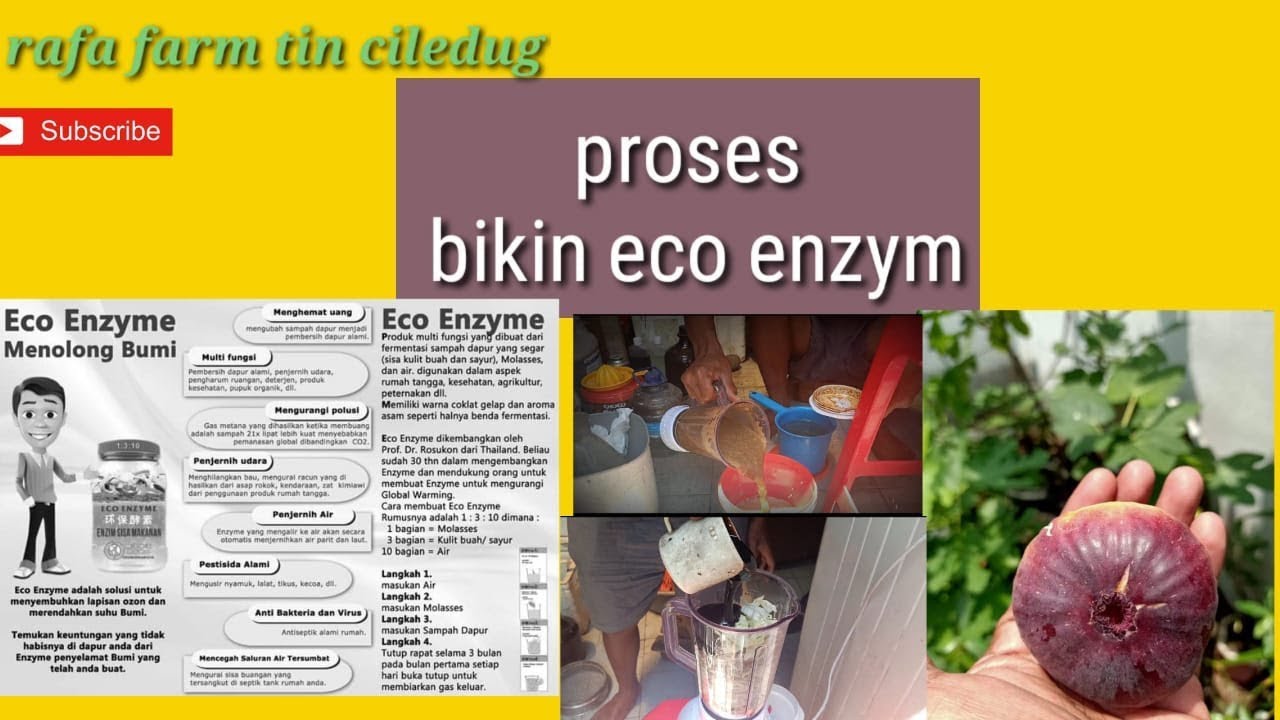 Cara membuat eco enzyme/POC/rafa farm 
