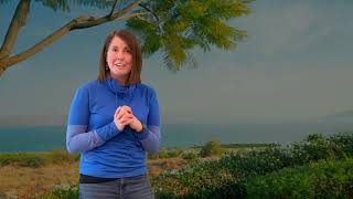 Sunday School: Genesis - Abraham’s Family Tree