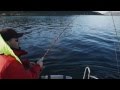 Norway Sea Fishing DÅFJORD Norwegen 2014 [HD]