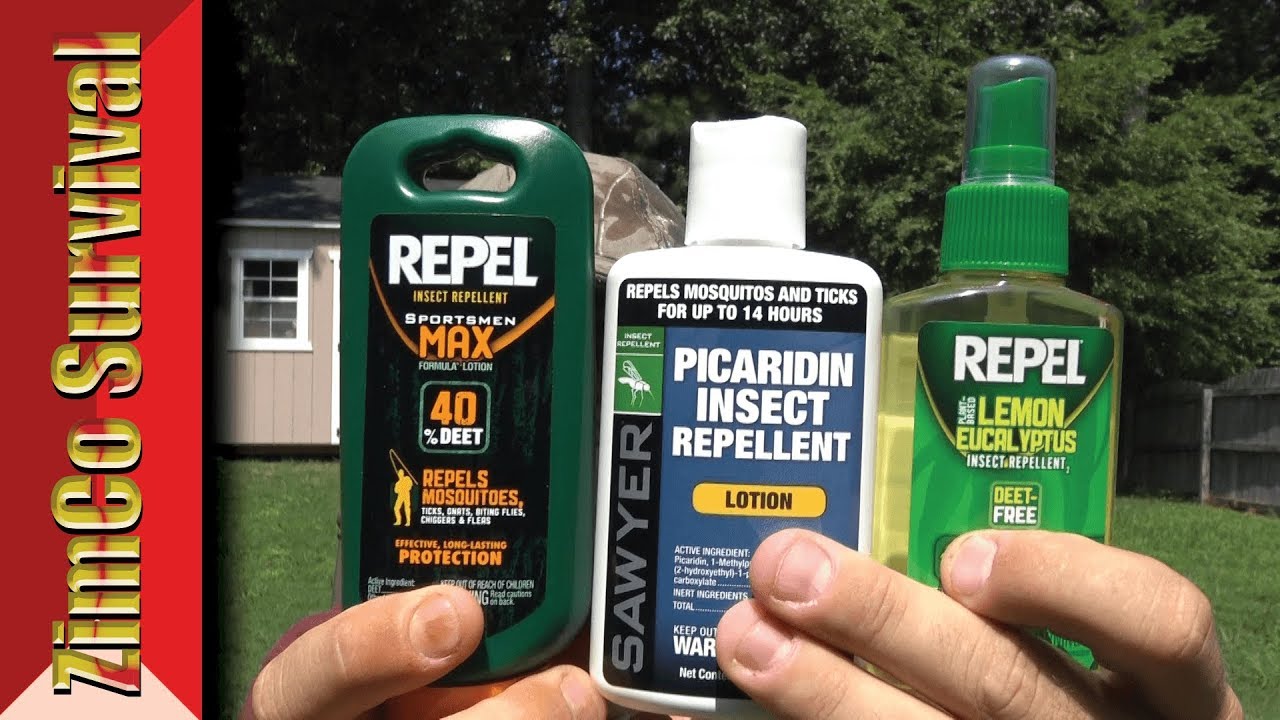 ️ What's the Best Insect Repellent Discussion YouTube