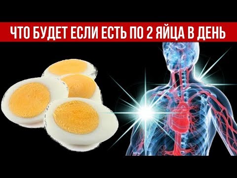 Что будет с Организмом если Есть по 2 яйца в день Изменения которые происходят в Теле Человека