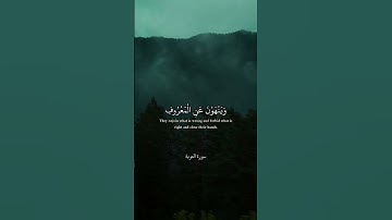 { الْمُنَافِقُونَ وَالْمُنَافِقَاتُ بَعْضُهُمْ مِنْ بَعْضٍ } قران كريم ❤  سعود الشريم 🌹