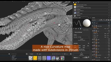 Nice curvature map in Zbrush