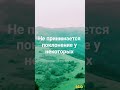 Аллах не принимает поклонение у некоторых