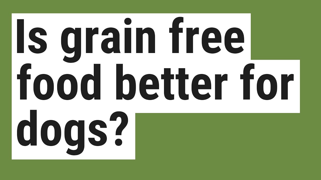 Is Grain Free Food Better For Dogs YouTube Is Grain Free Food Better For Dogs YouTube