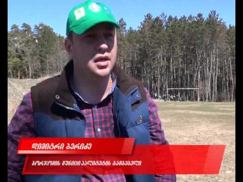 ეკო-კლუბებმა პლატოს ტერიტორია დაასუფთავეს