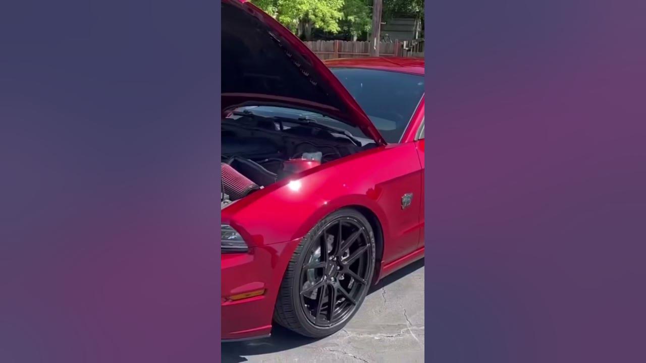 Holley High Ram On A Coyote Mustang First Look #mustanggt #