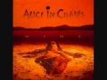 Alice in chains  would