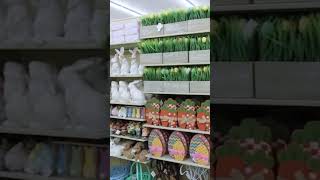 EASTER DECOR SHOPPING AT HOBBY LOBBY 🐰🥰 #easterdecor #hobbylobby #shopwithme #youtubeshorts #easter Net Worth
