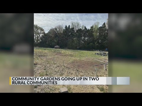 Video: Albuquerque's Community Gardens bələdçisi
