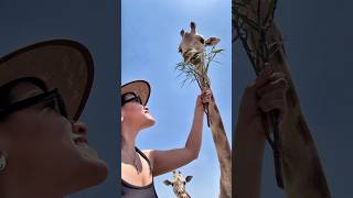 Africam Safari en Puebla México
