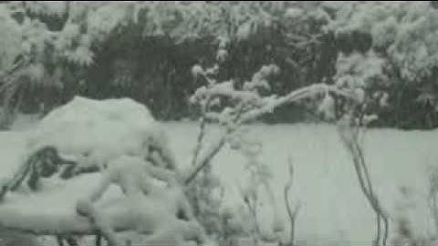 meditation video   slow motion reverse snowfall